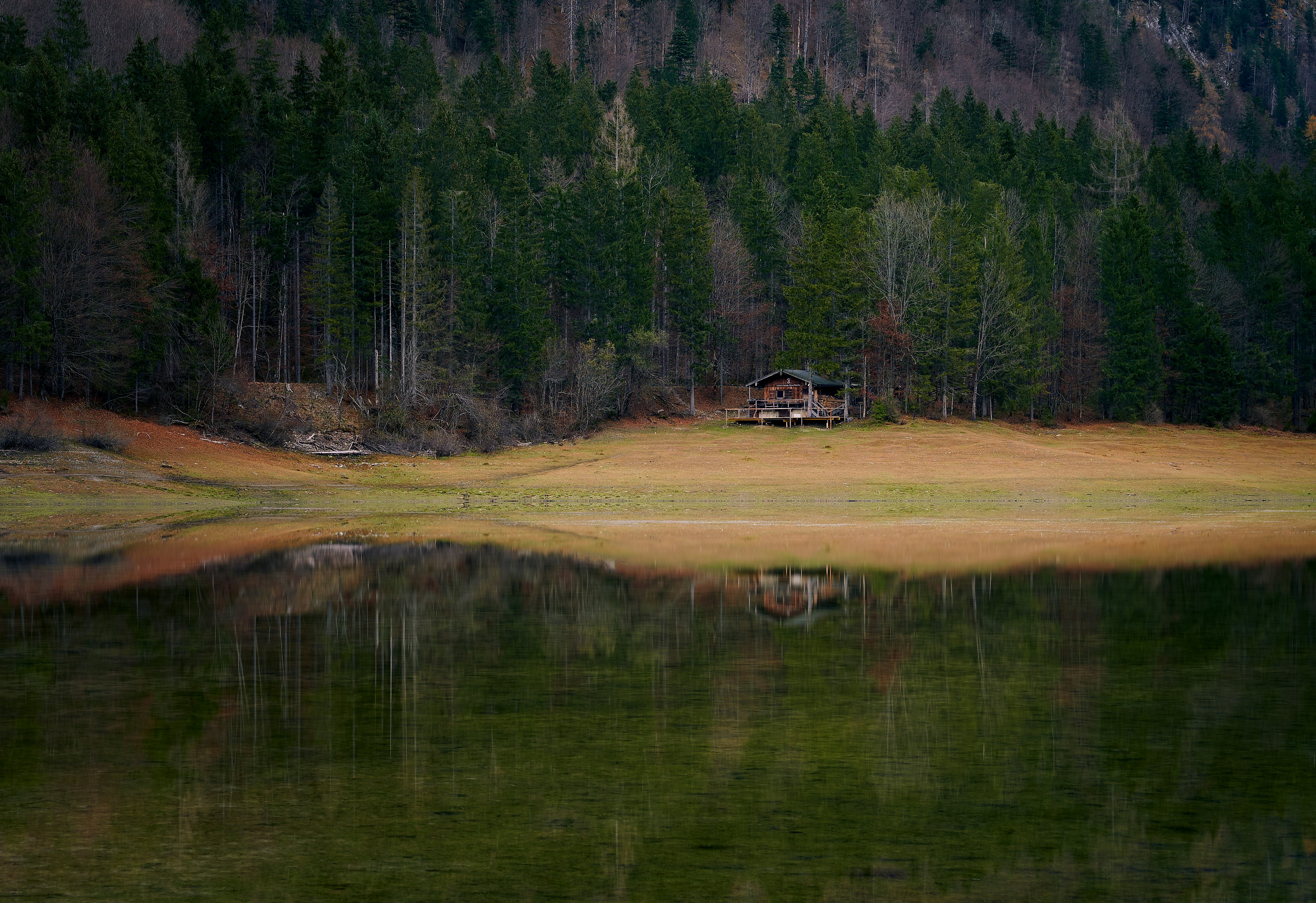 brown and white house near green trees and lake during daytime