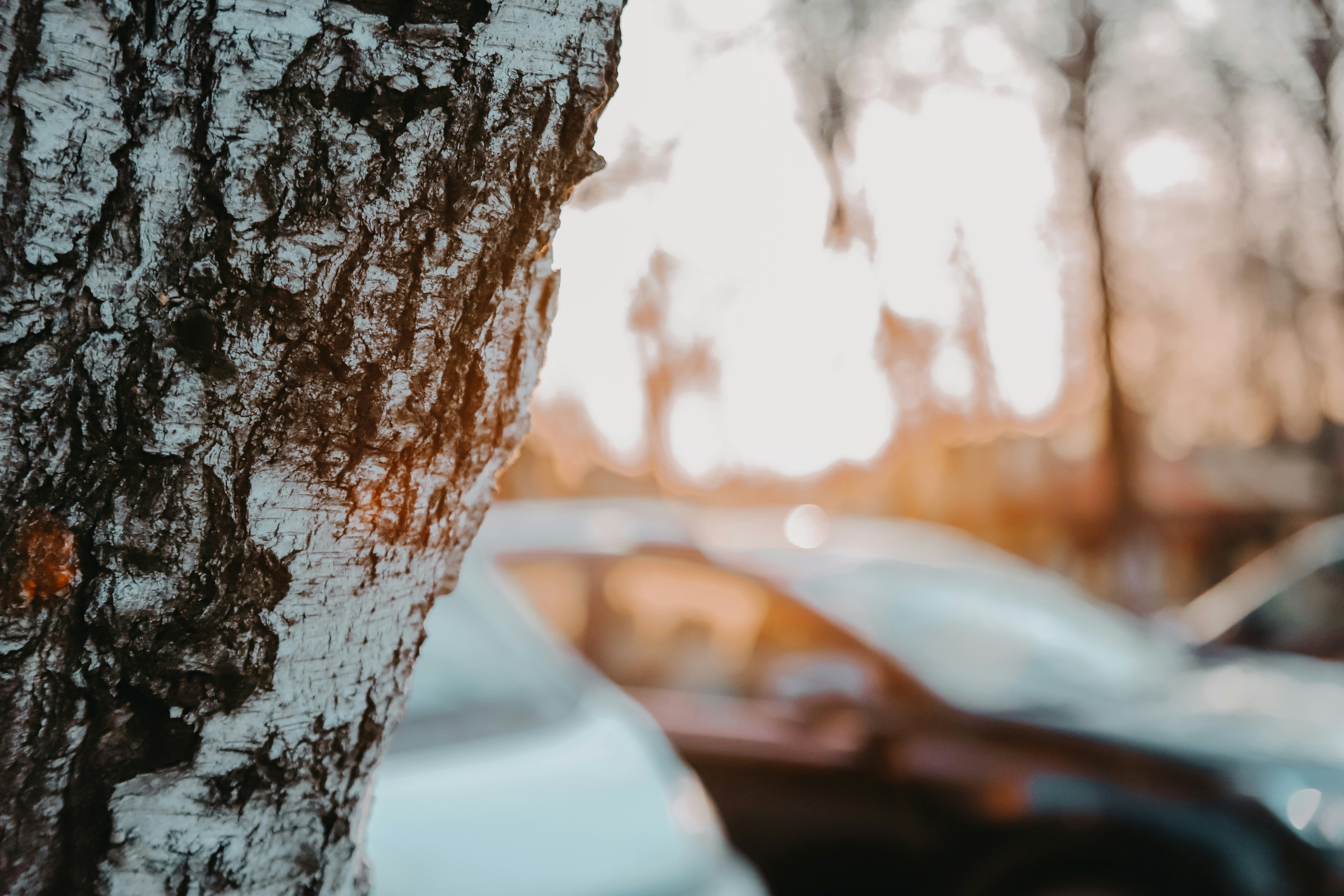 Photo by slon_v_kashe