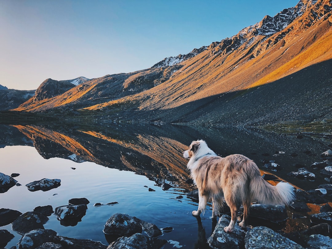7 Epic Summer Adventures in the