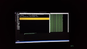 The image features a computer screen displaying a coding environment. The screen shows a text editor with various files and folders listed on the left-hand side, while the main coding area is open with a command line interface. There are green text outputs typical of command line operations performed on a black background.