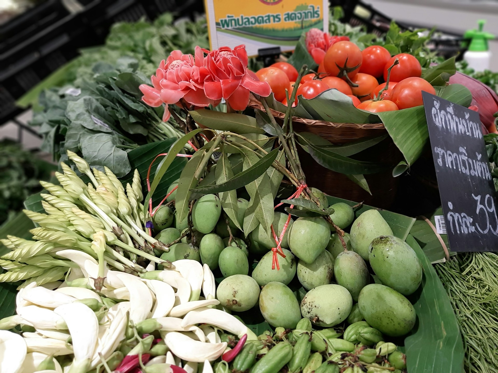 woman wearing yellow long-sleeved dress under white clouds and blue sky during daytime