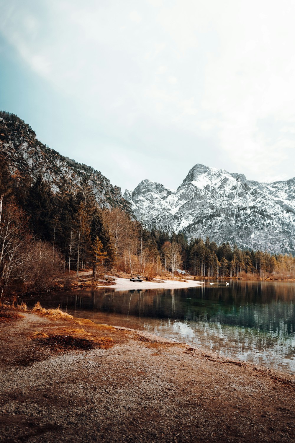 lake surrounded by trees and mountains during daytime