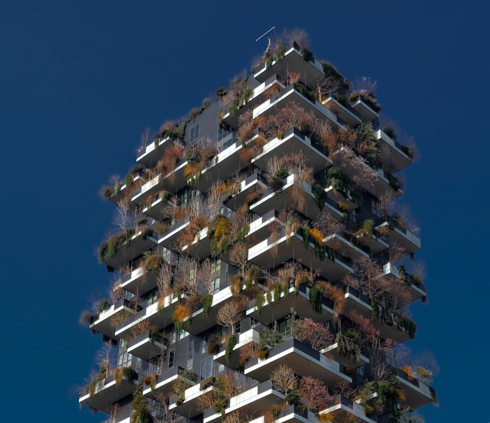 brown and white concrete building under blue sky during daytime