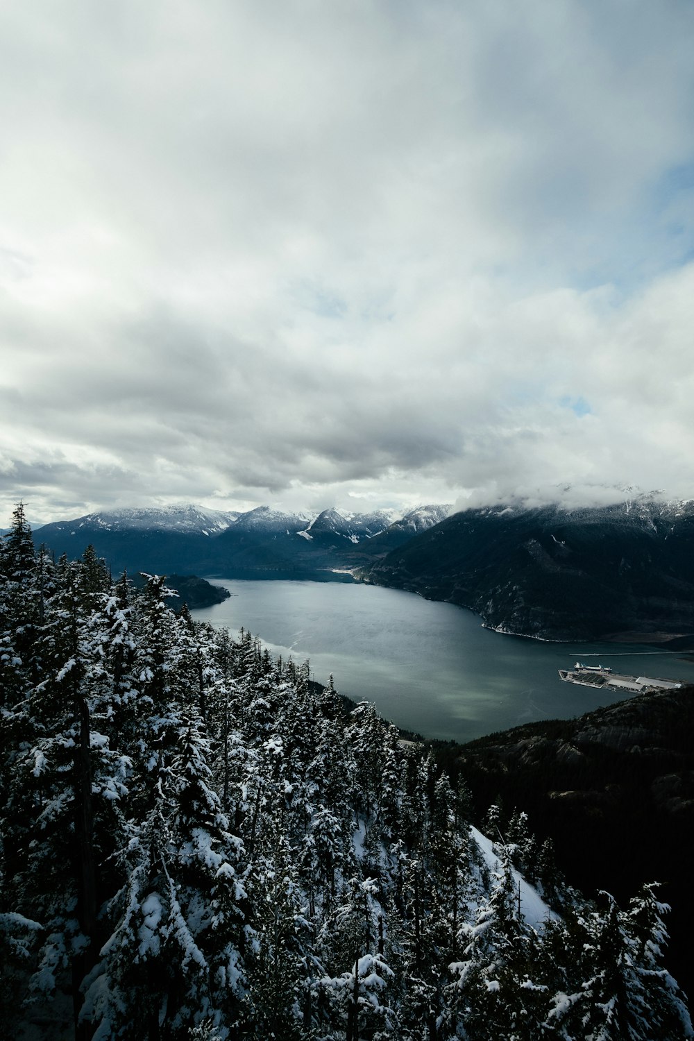 snow covered trees and mountains during daytime