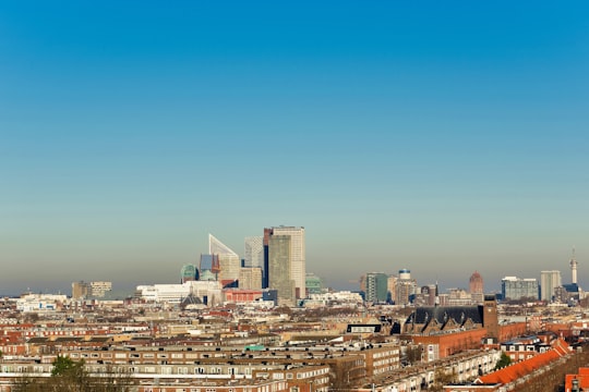city skyline under blue sky during daytime in The Hague Netherlands