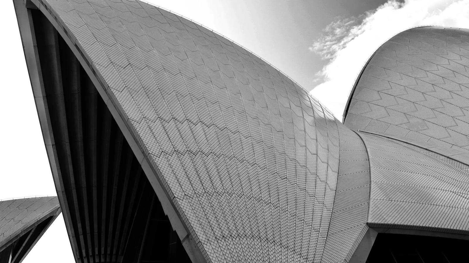 Black and white photograph of Sydney CBD buildings reflected in glass