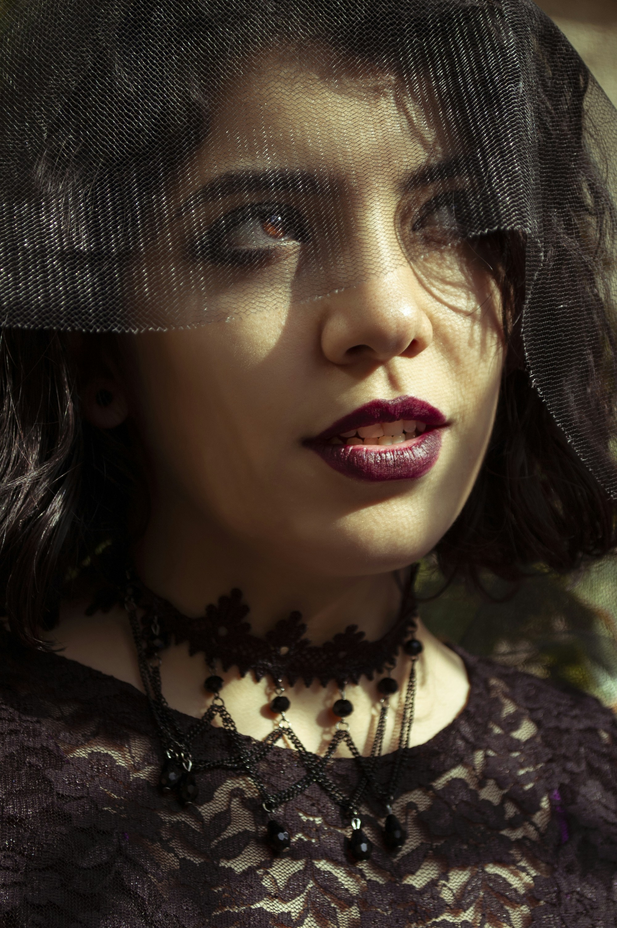 Photo by baranlotfollahi