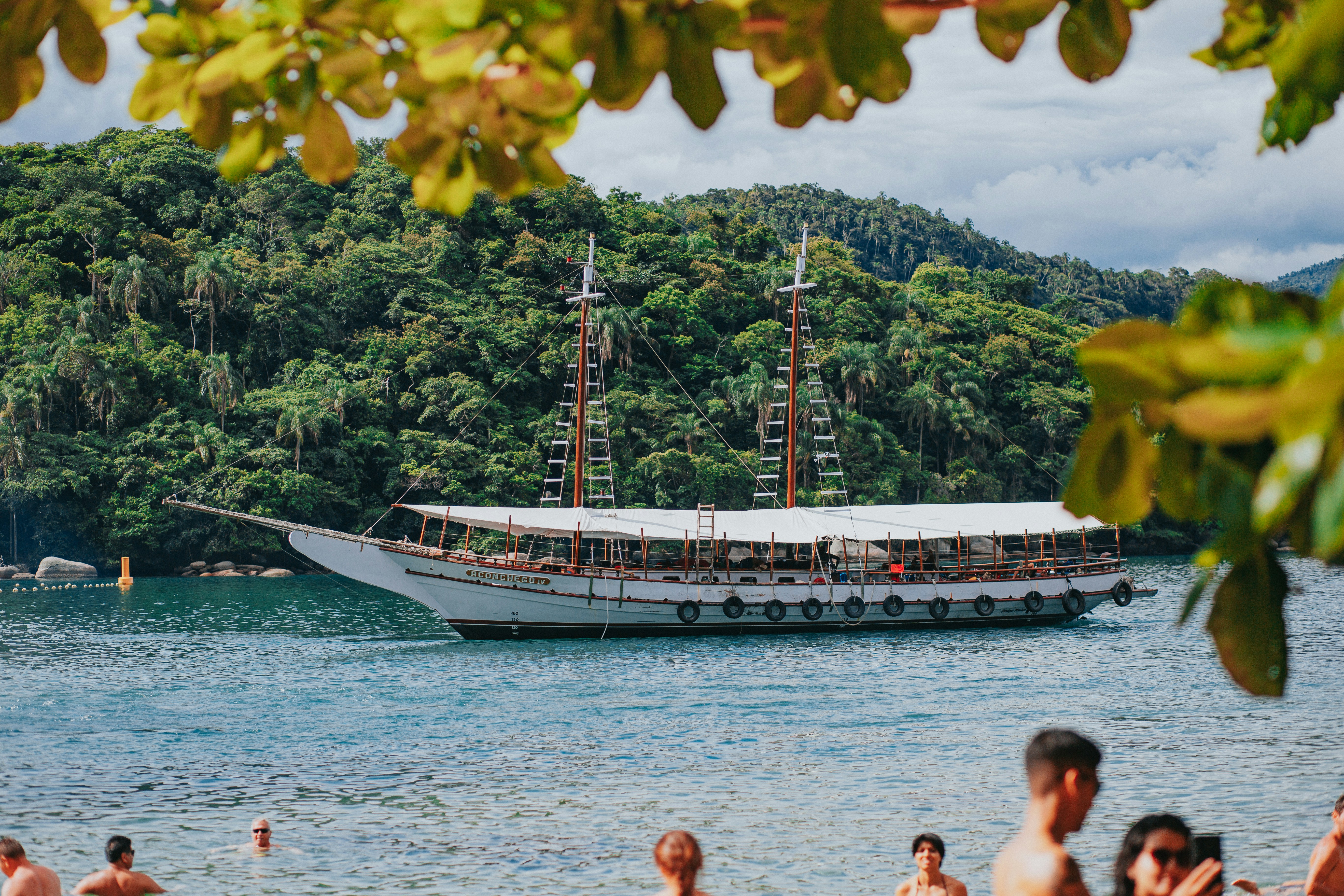 Understanding MS Treatment: B-Cells and Disease Activity