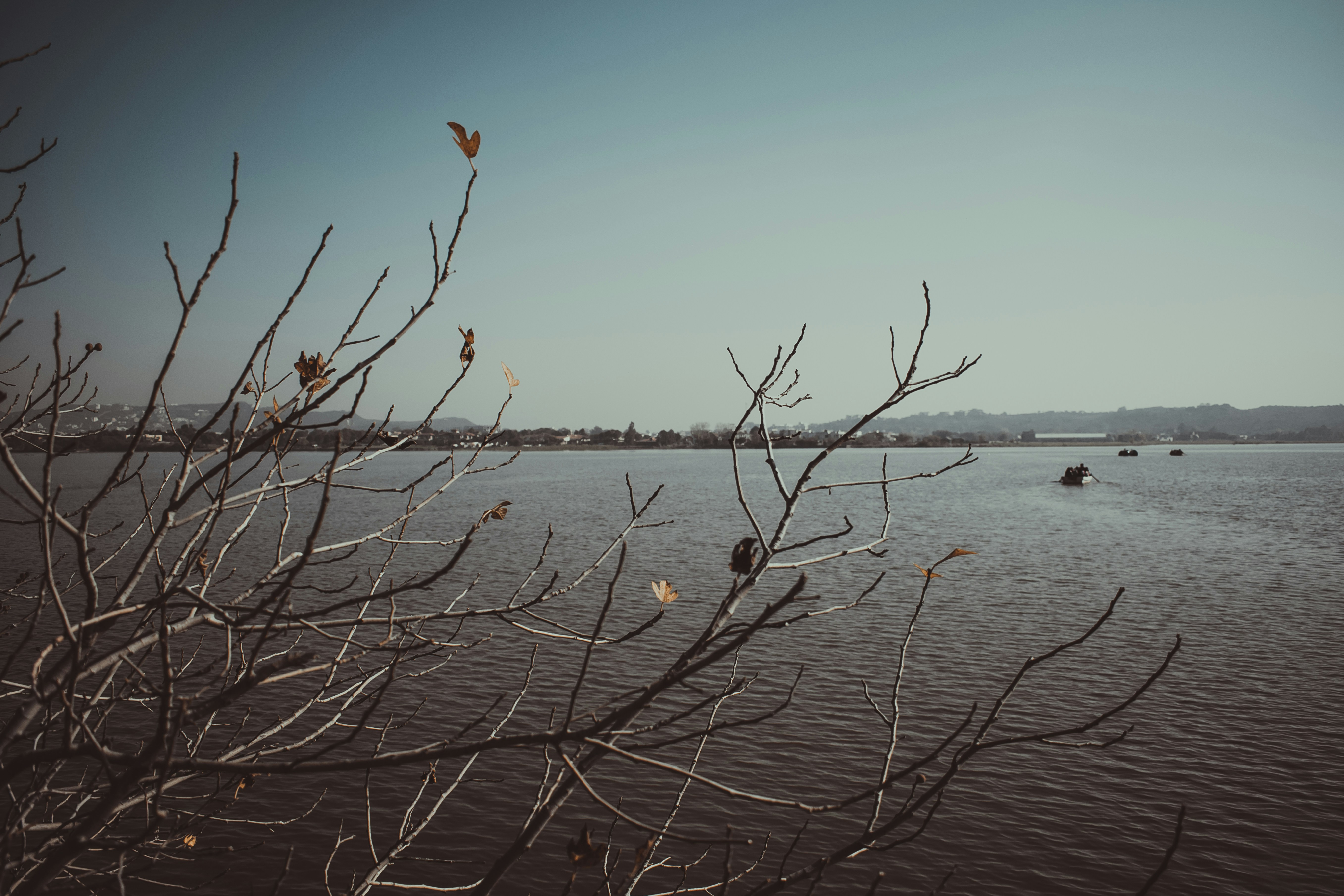 Photo by hassanmukhtarahmad