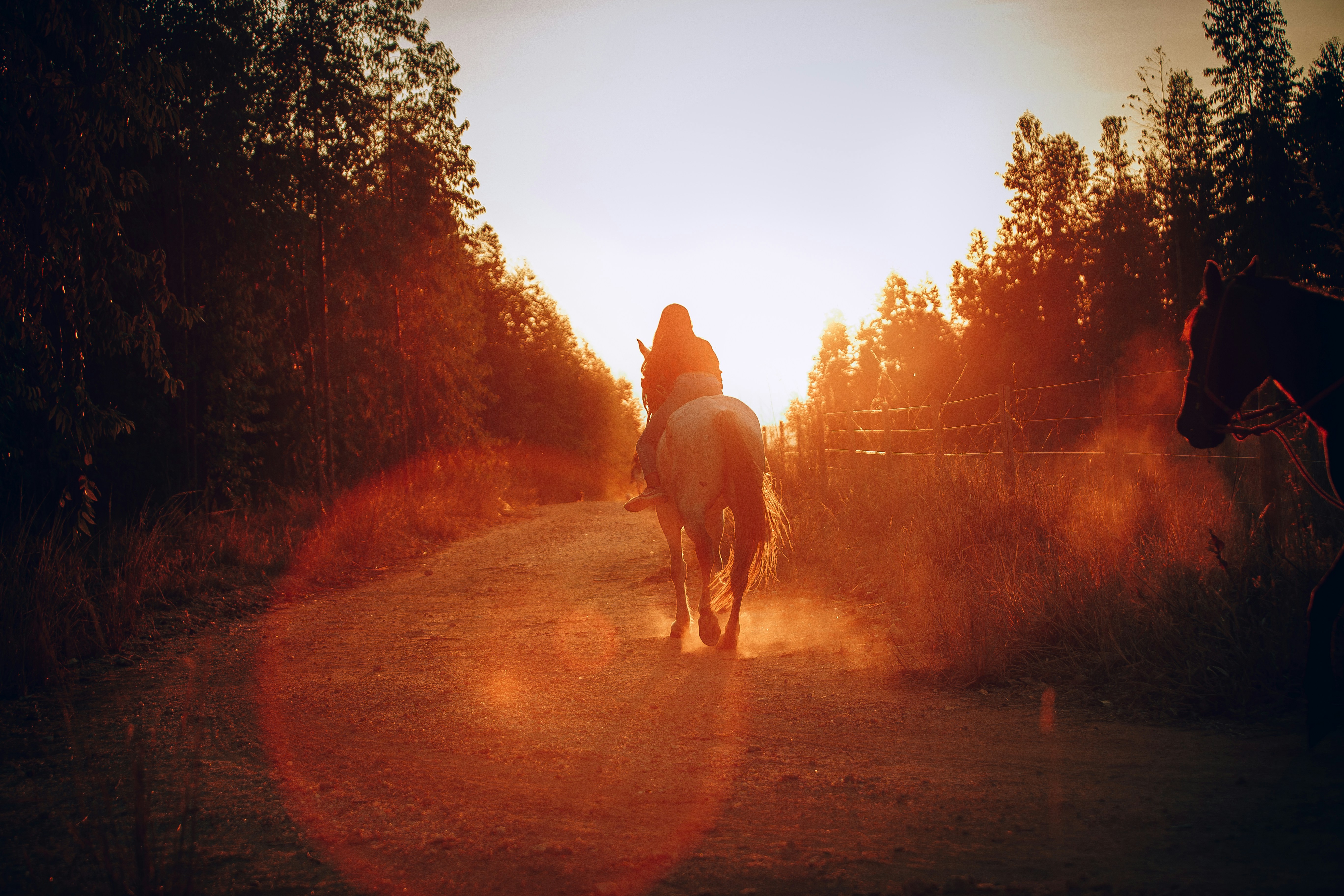 Photo by helenalopesph