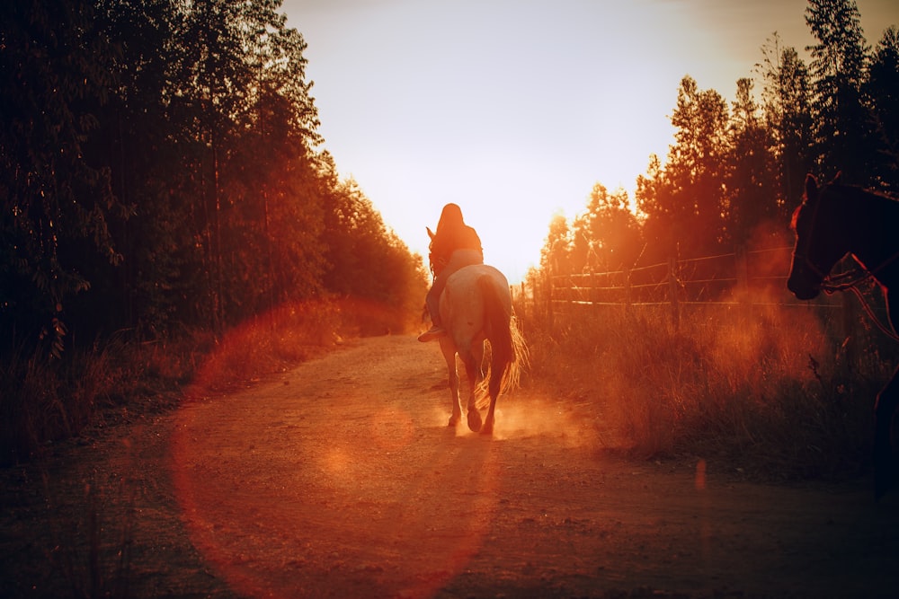 person in brown jacket and black pants riding on horse during daytime