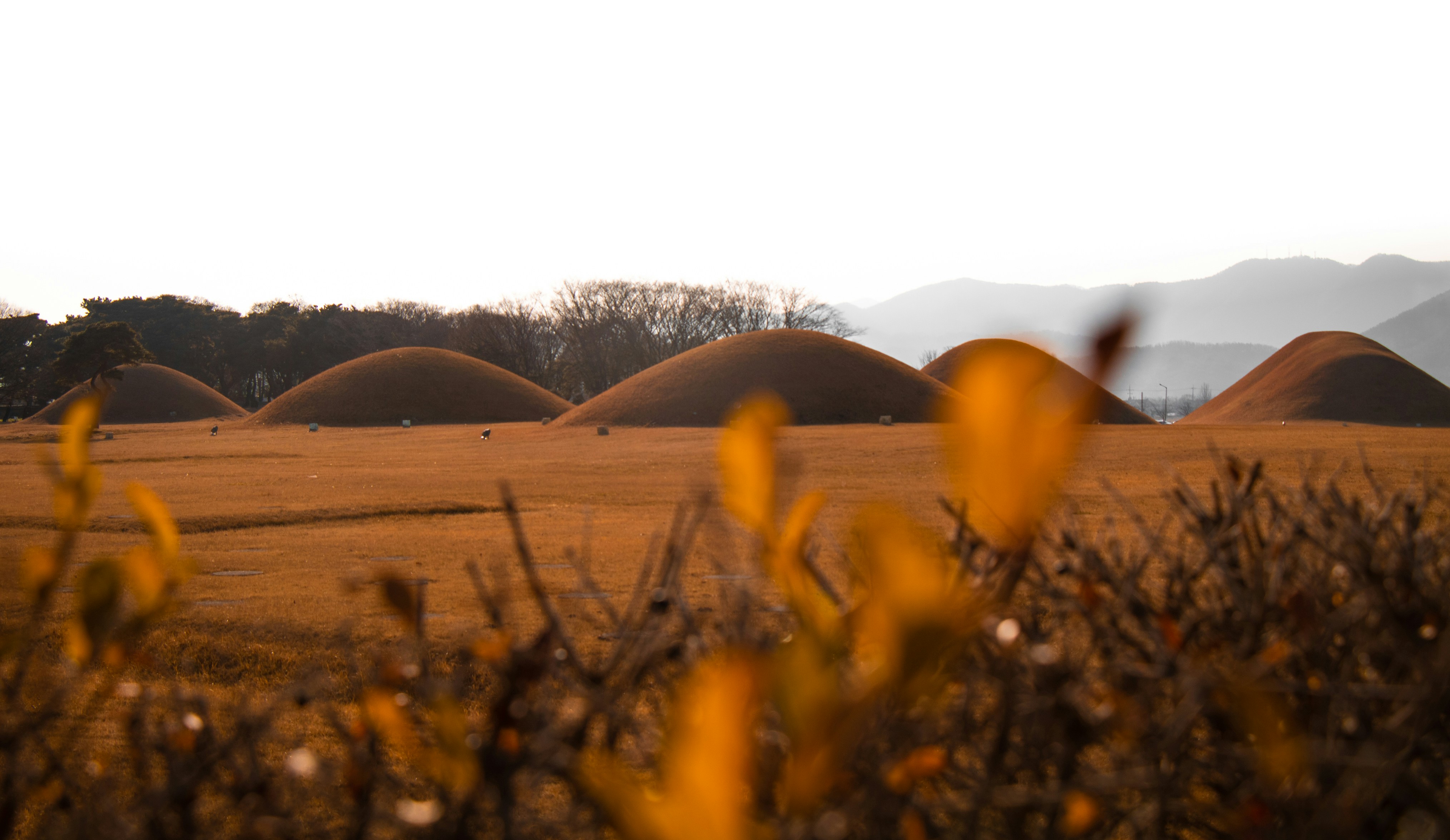 時尚圈崩壞？這趨勢醜到爆！你媽都不穿！