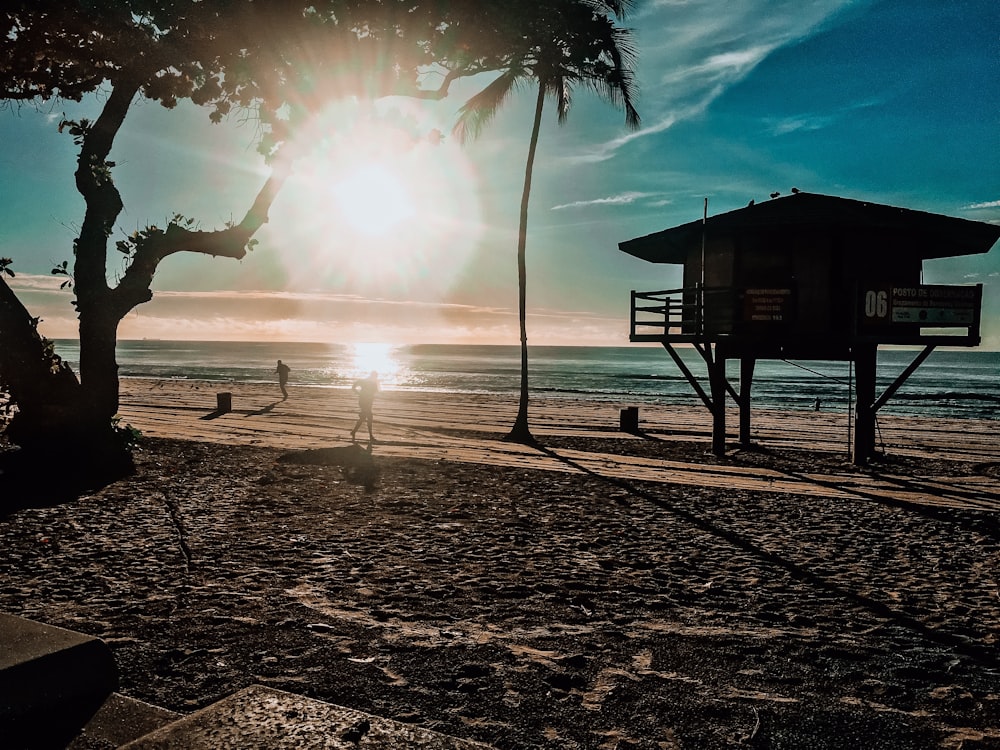 silhouette of palm tree near body of water during daytime