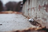An empty aluminum can lies on the ground next to a rough concrete wall. The background appears blurry, suggesting a shallow depth of field. The setting looks like an outdoor urban environment, possibly a sidewalk or pathway.