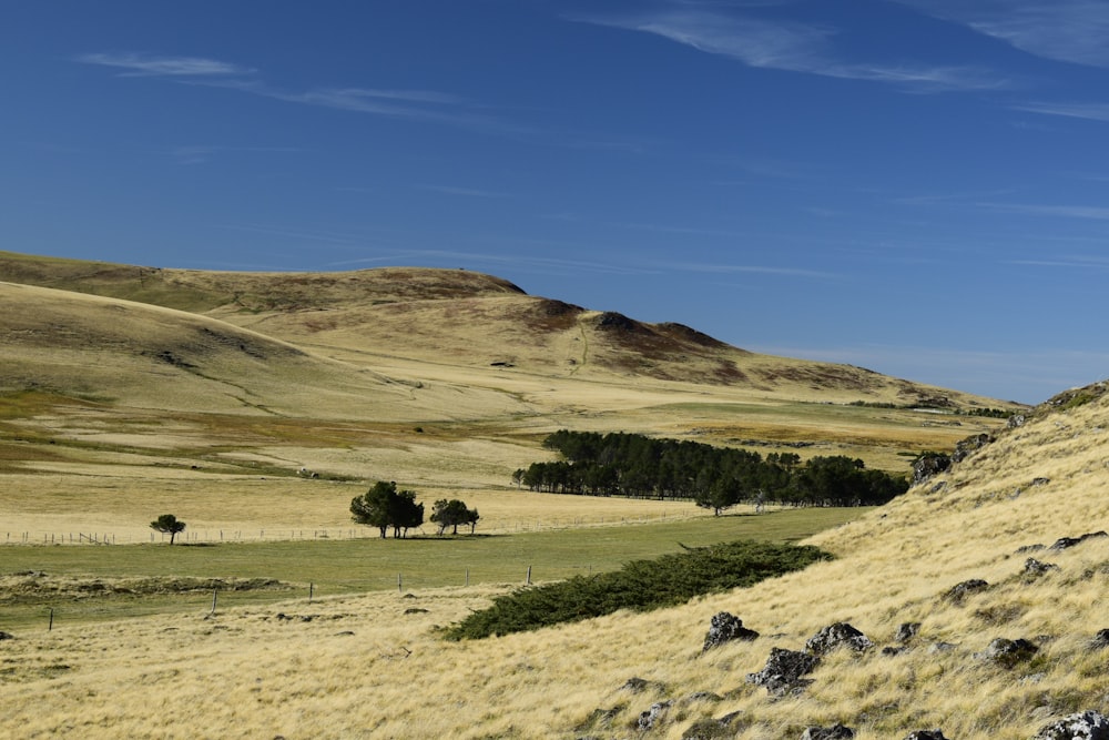 green grass field near brown mountain under blue sky during daytime