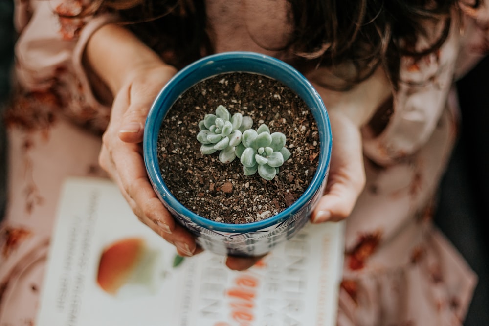 person holding blue ceramic round bowl with green plant