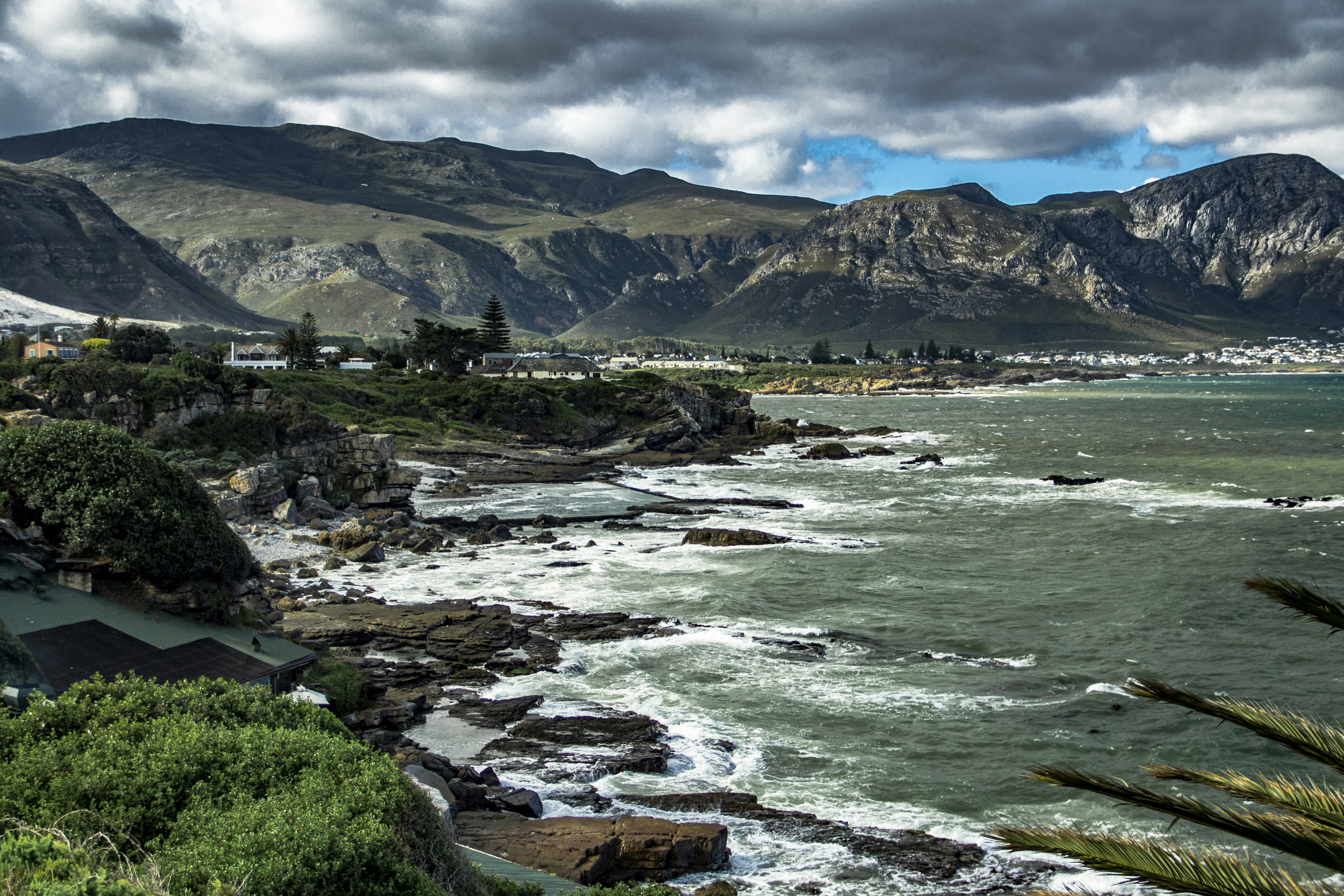 green grass field near body of water during daytime