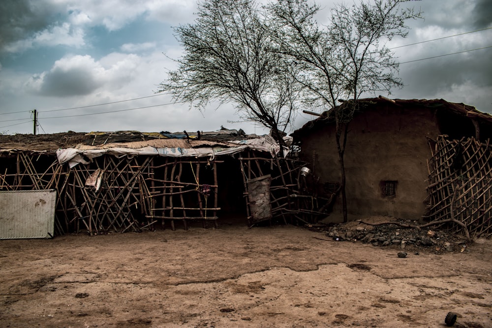 a group of huts sitting next to a tree