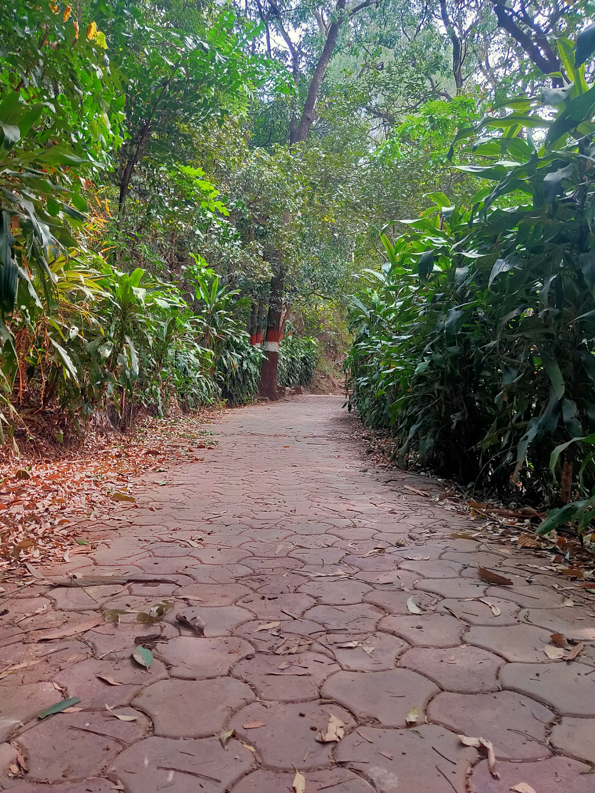 woman wearing yellow long-sleeved dress under white clouds and blue sky during daytime