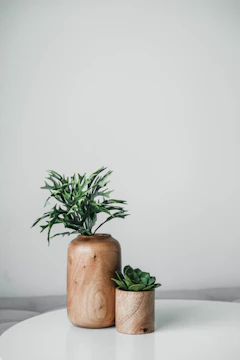 green plant on brown wooden pot