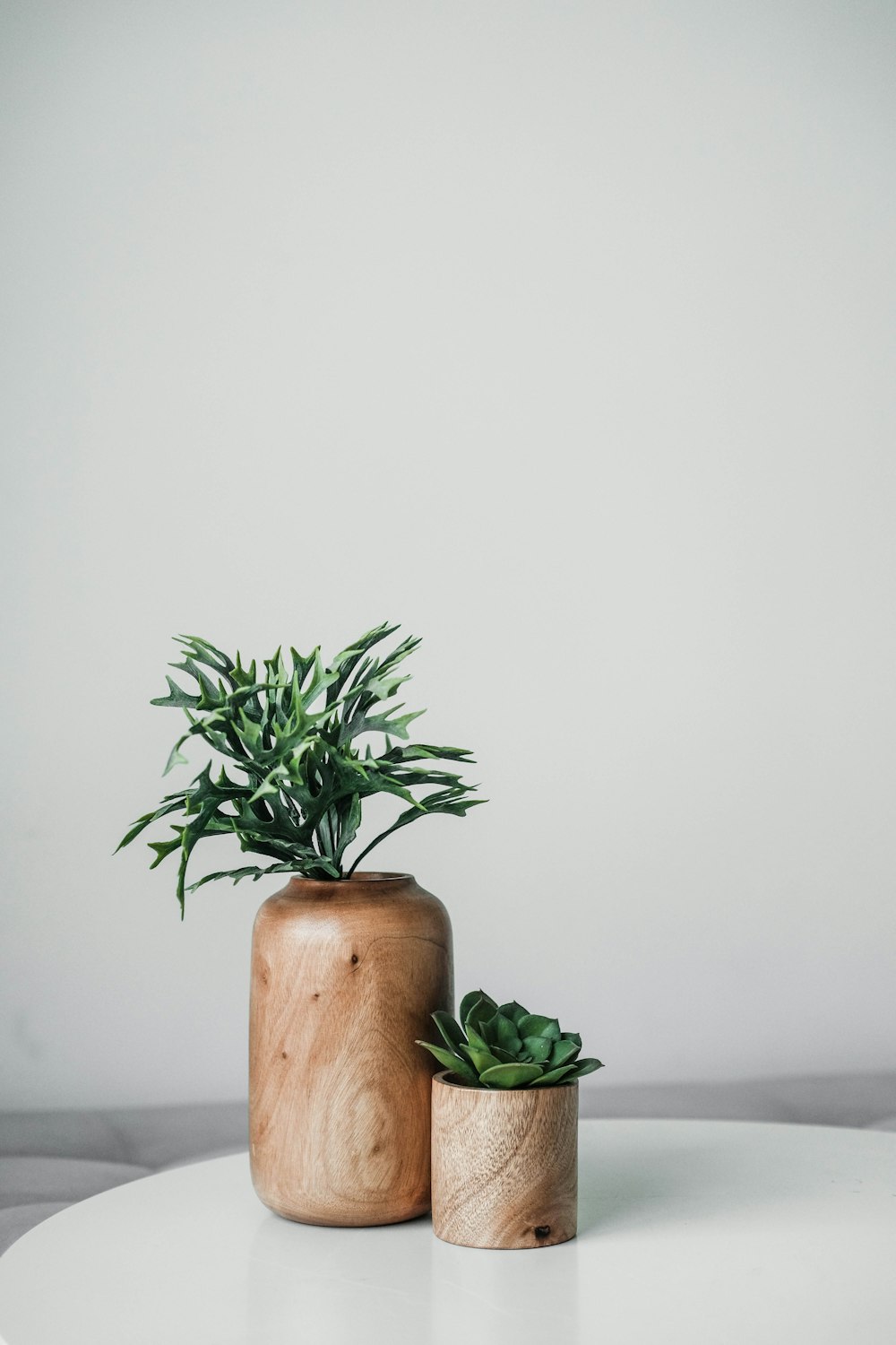 pianta verde su vaso di legno marrone