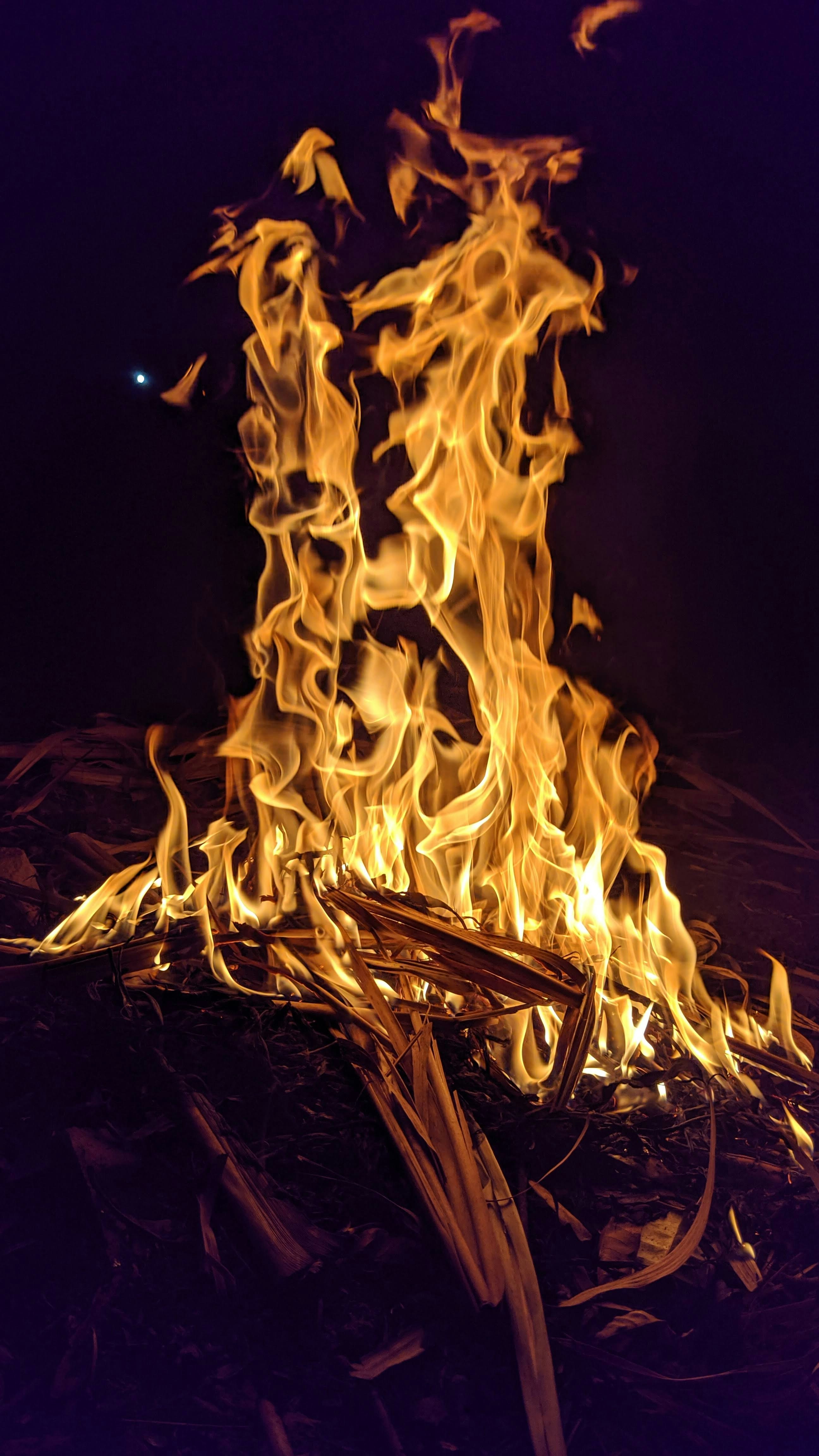 Photo by surajchavan25