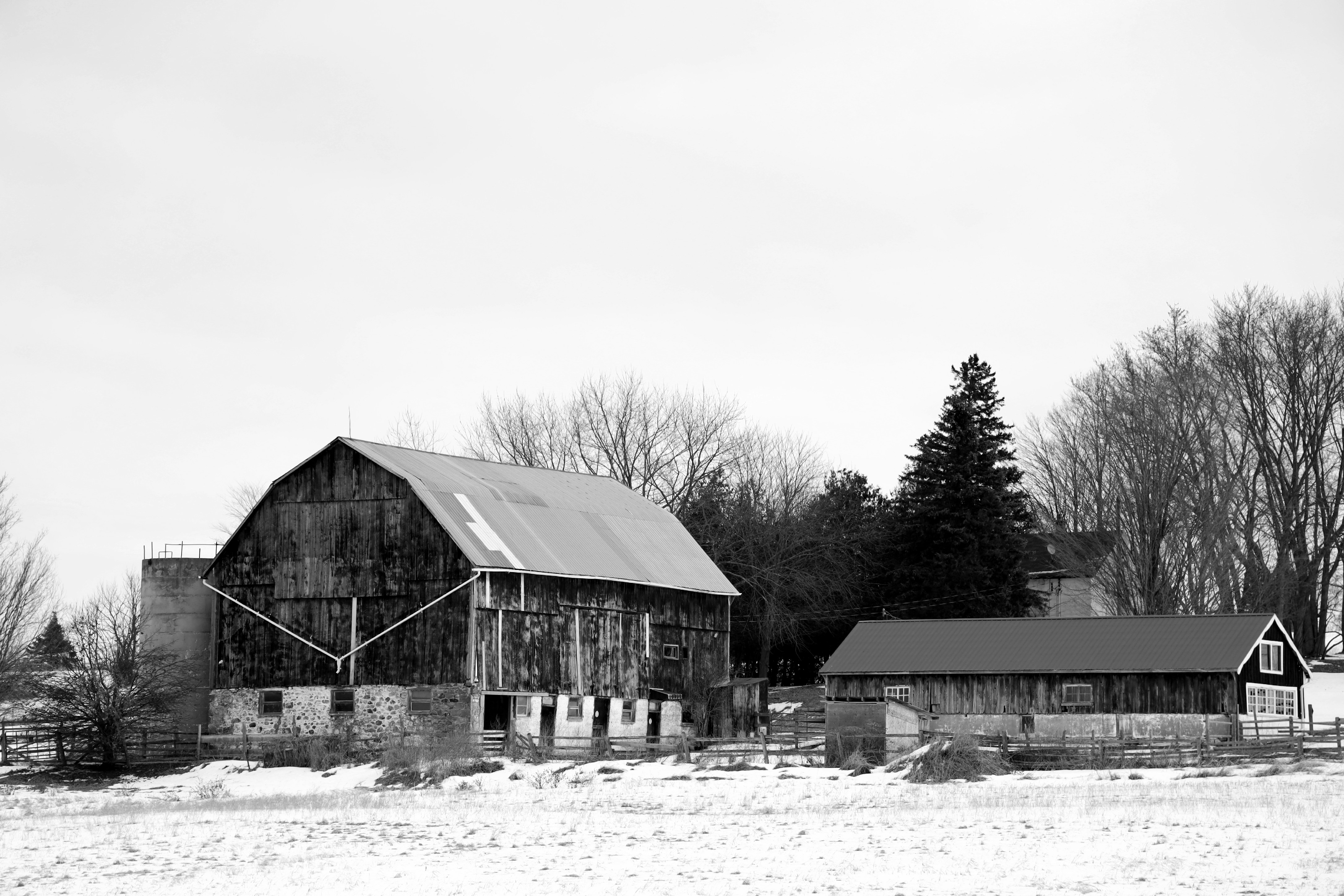 Photo by richardworks