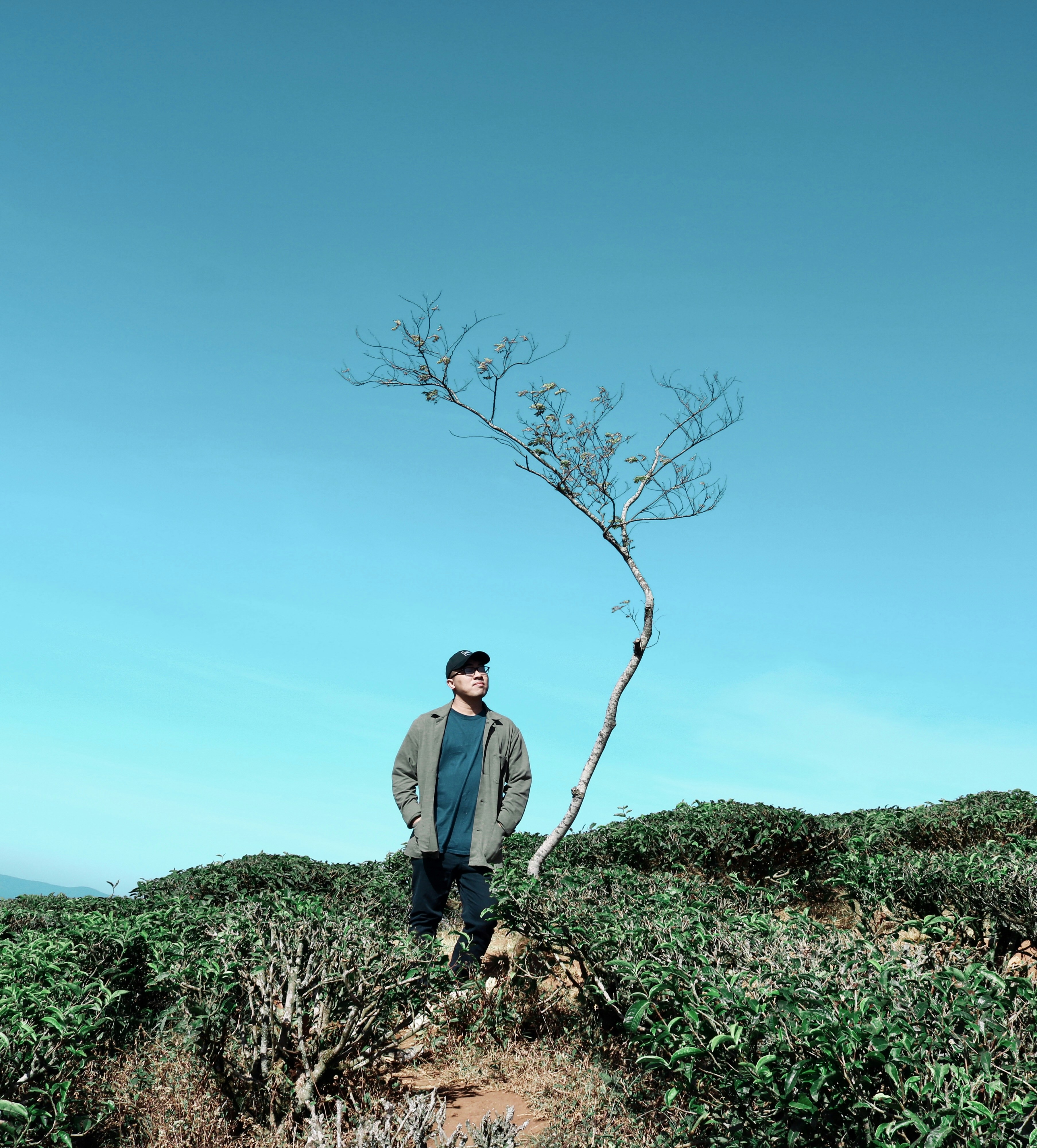 Photo by huuthong