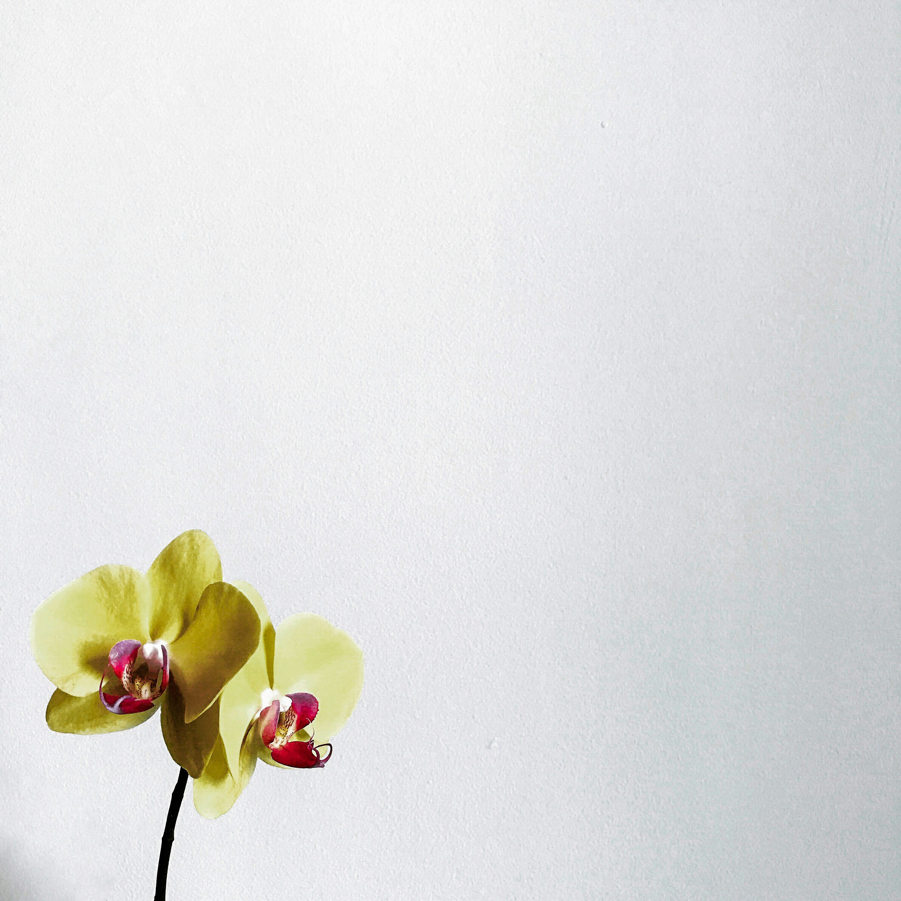 Photo by huuthong