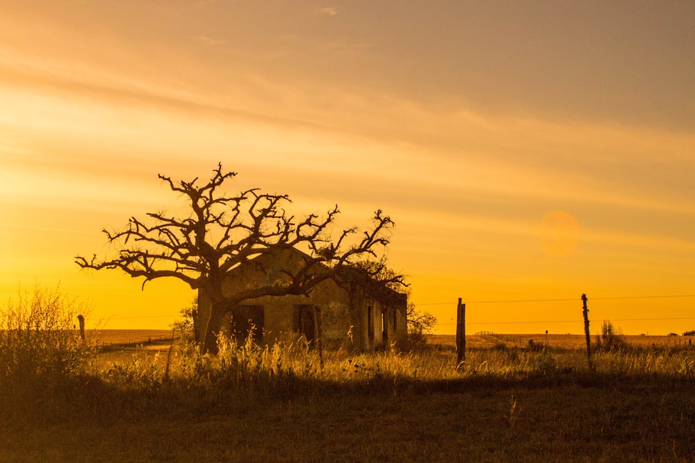 brown concrete building on green grass field during sunset