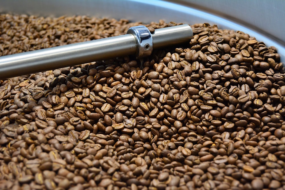 brown coffee beans in stainless steel container