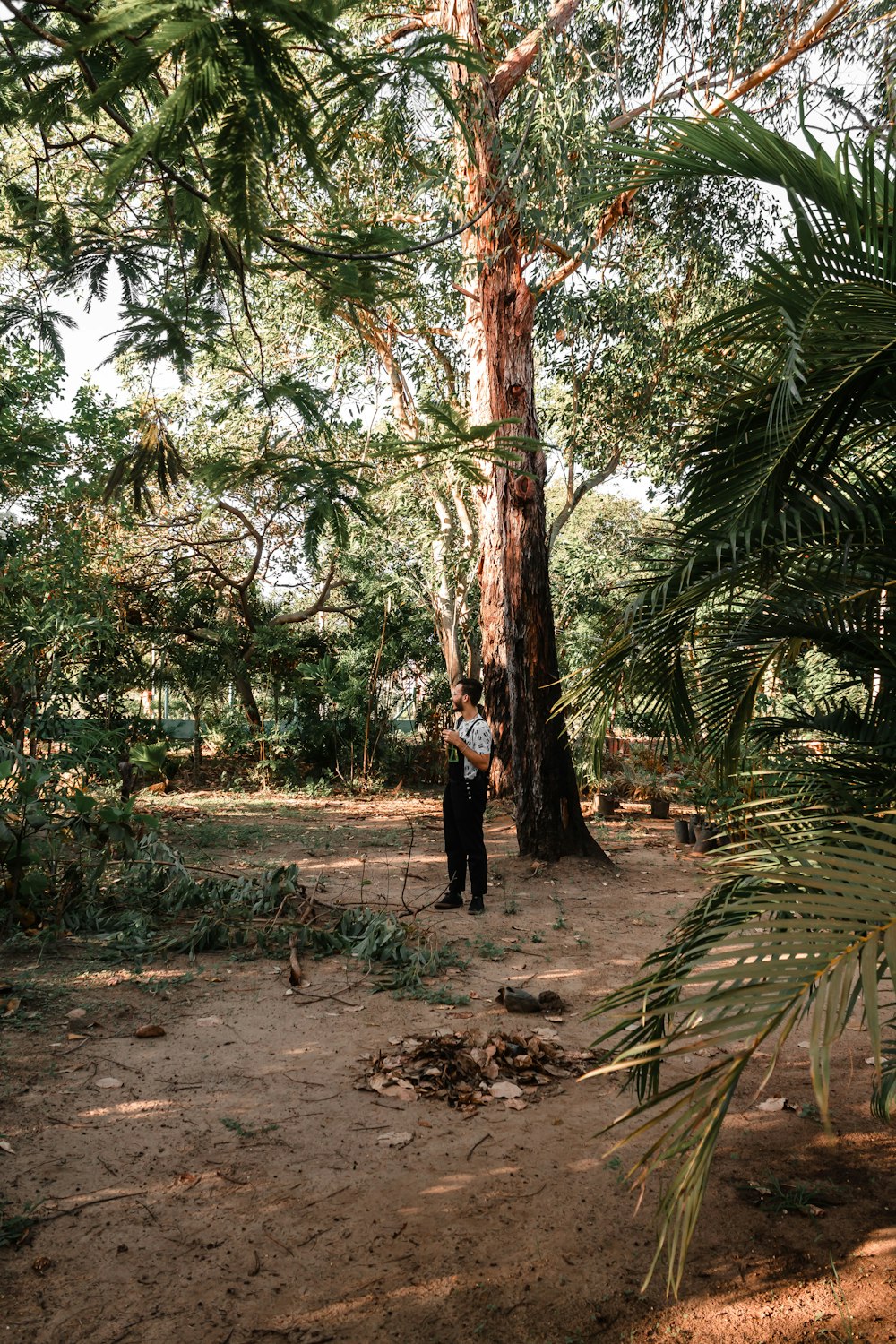 woman in black dress walking on dirt road between green trees during daytime