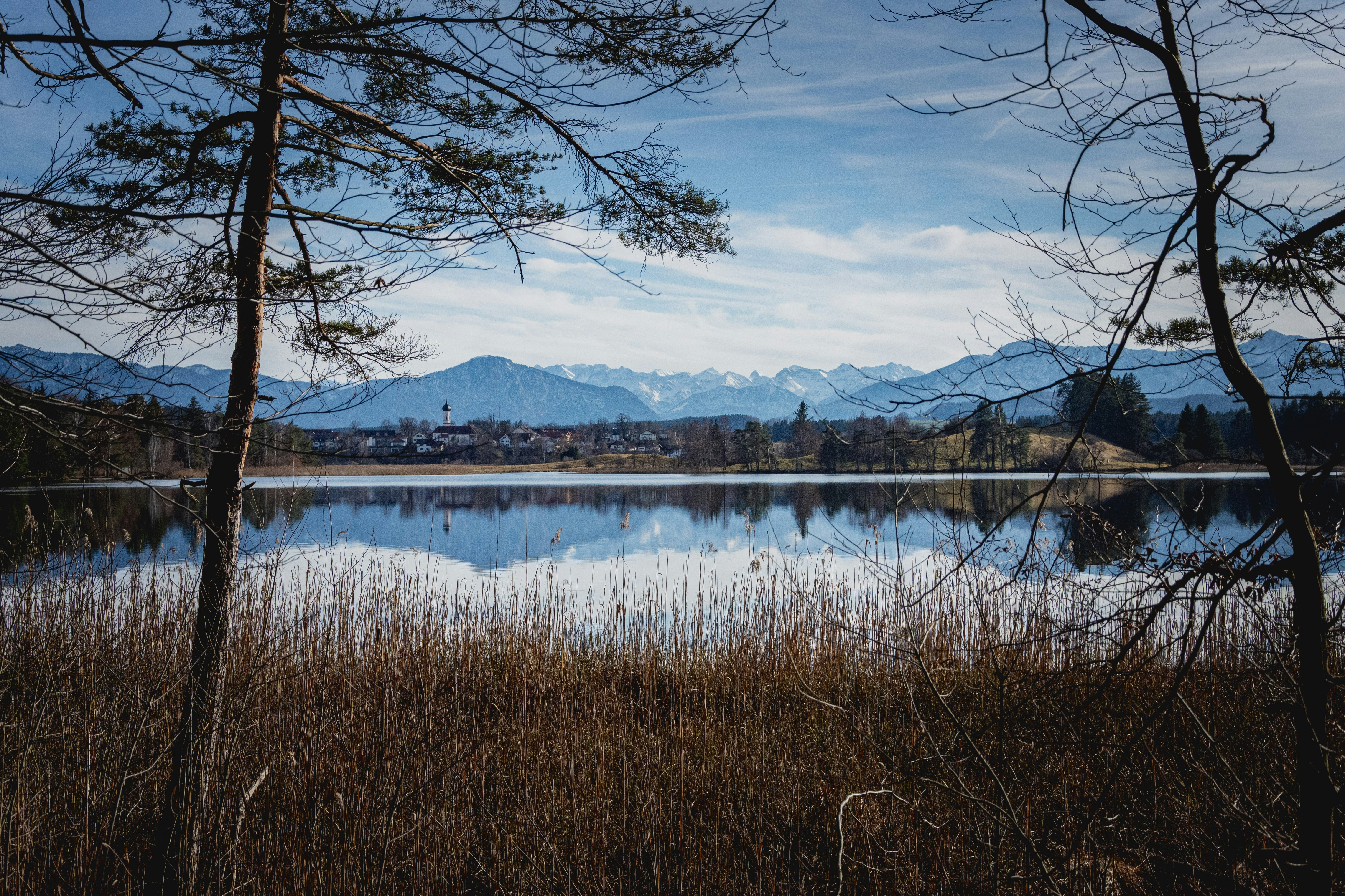 body of water near trees and mountains during daytime