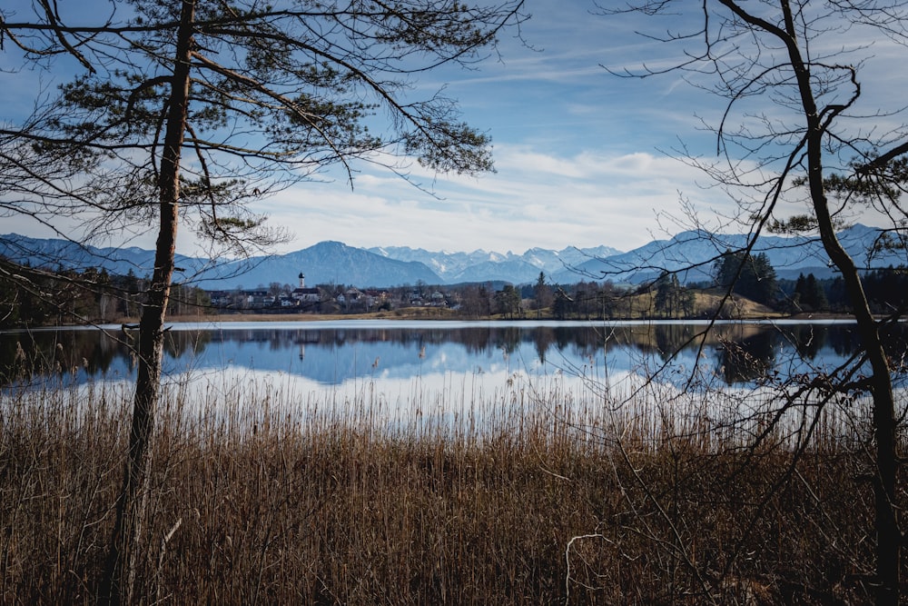 Plan d’eau près des arbres et des montagnes pendant la journée