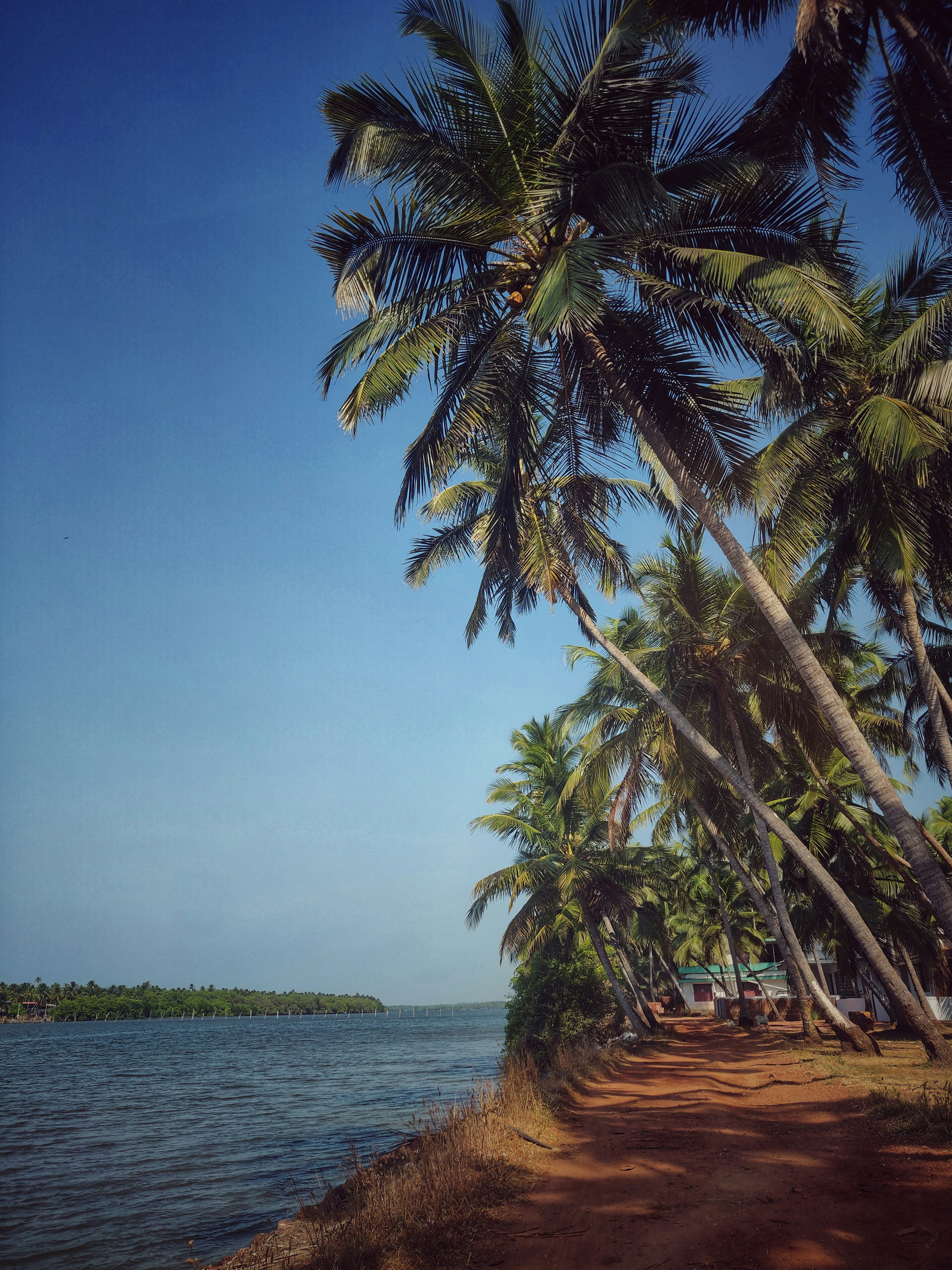 Photo by muhammednavas