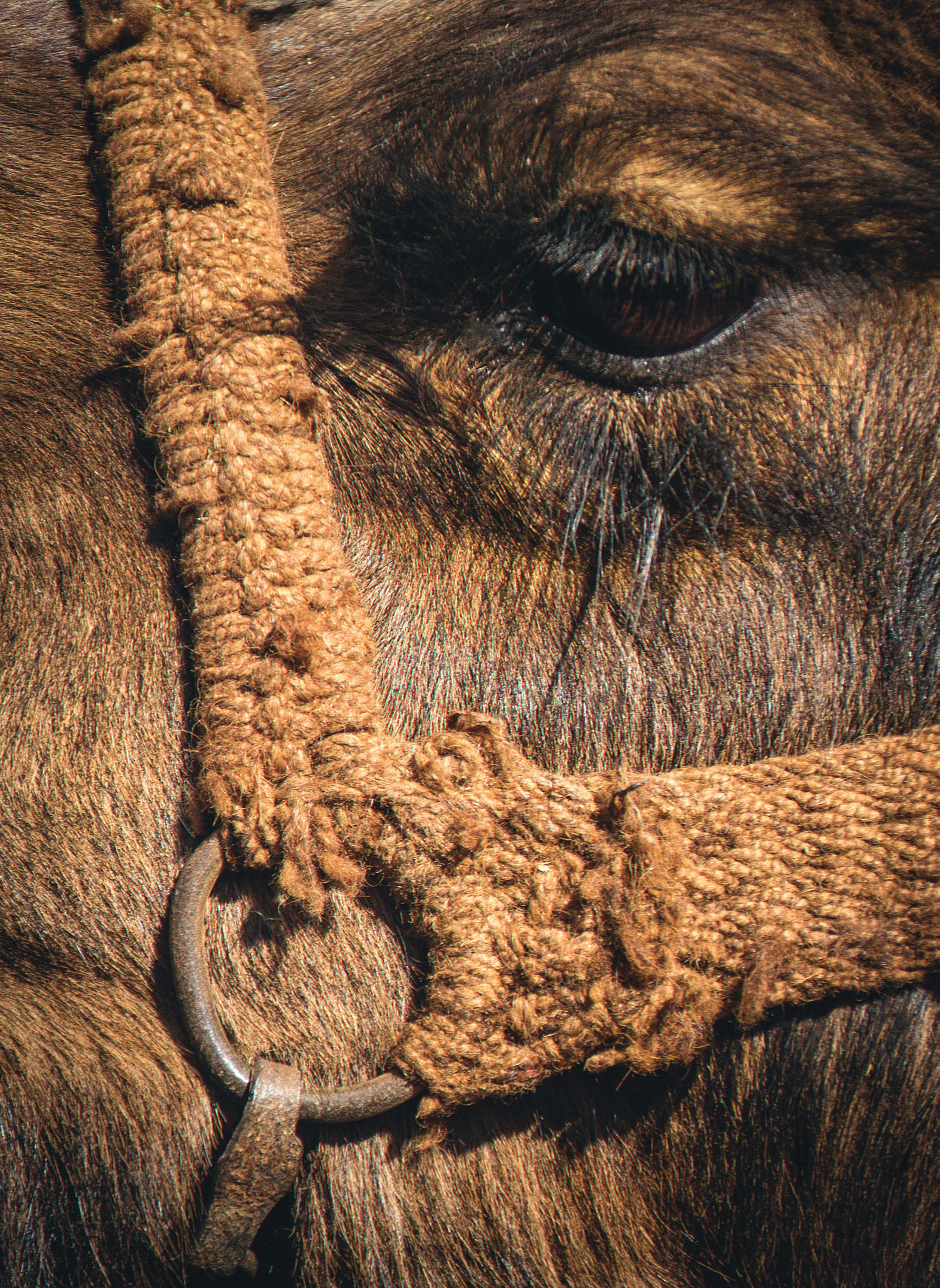 Photo by davoodjalali