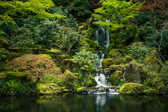 green moss on rock formation near water falls