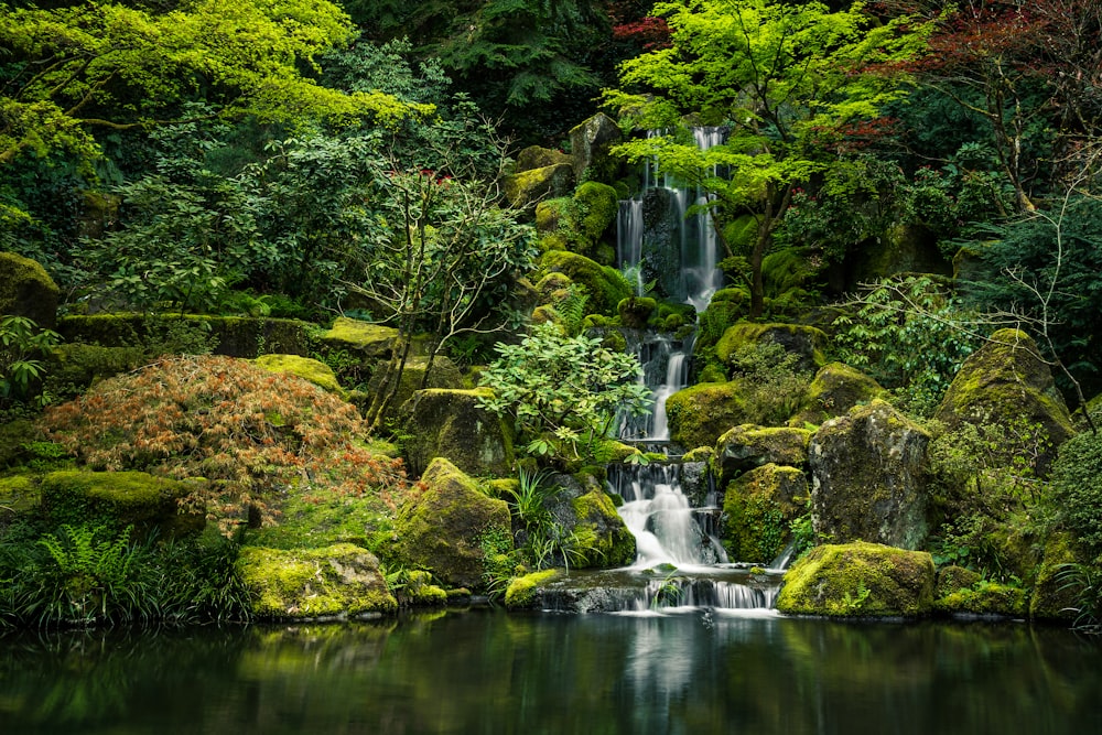 green moss on rock formation near water falls