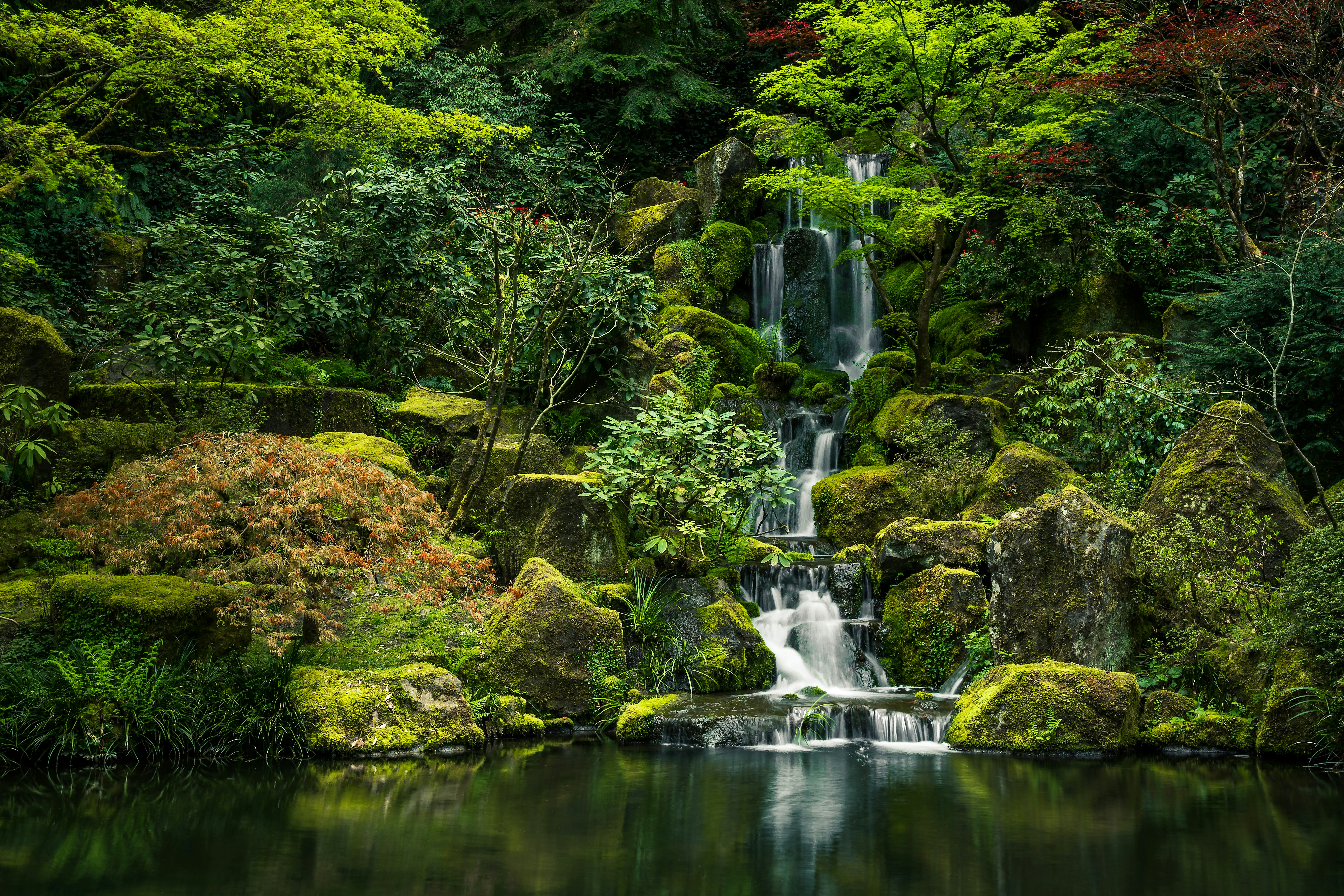 Lessons From The Professionals: Maintenance Secrets From Japanese Garden Masters