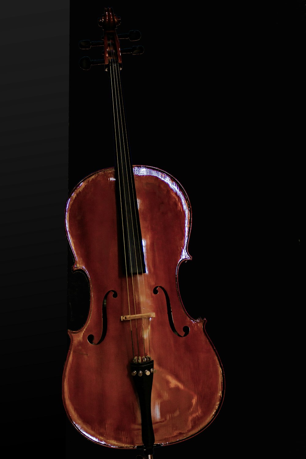 brown violin with black background