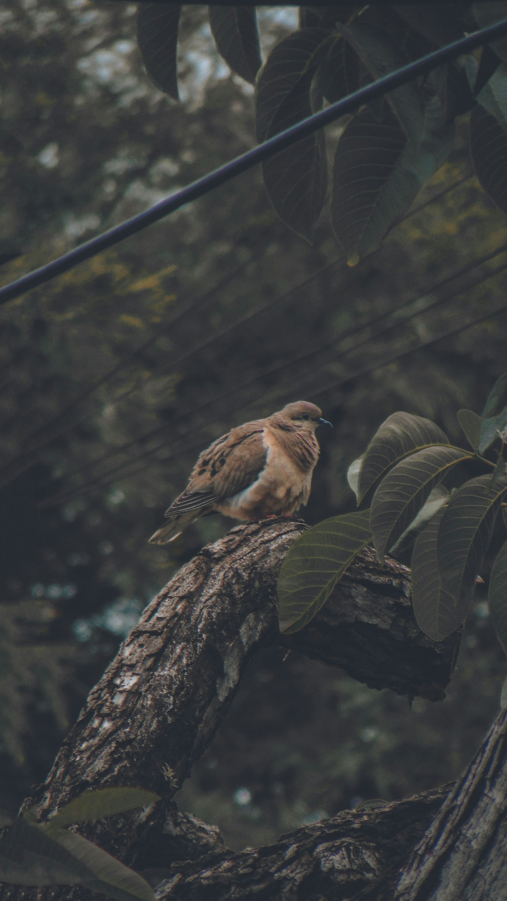 Photo by lucasvphotos