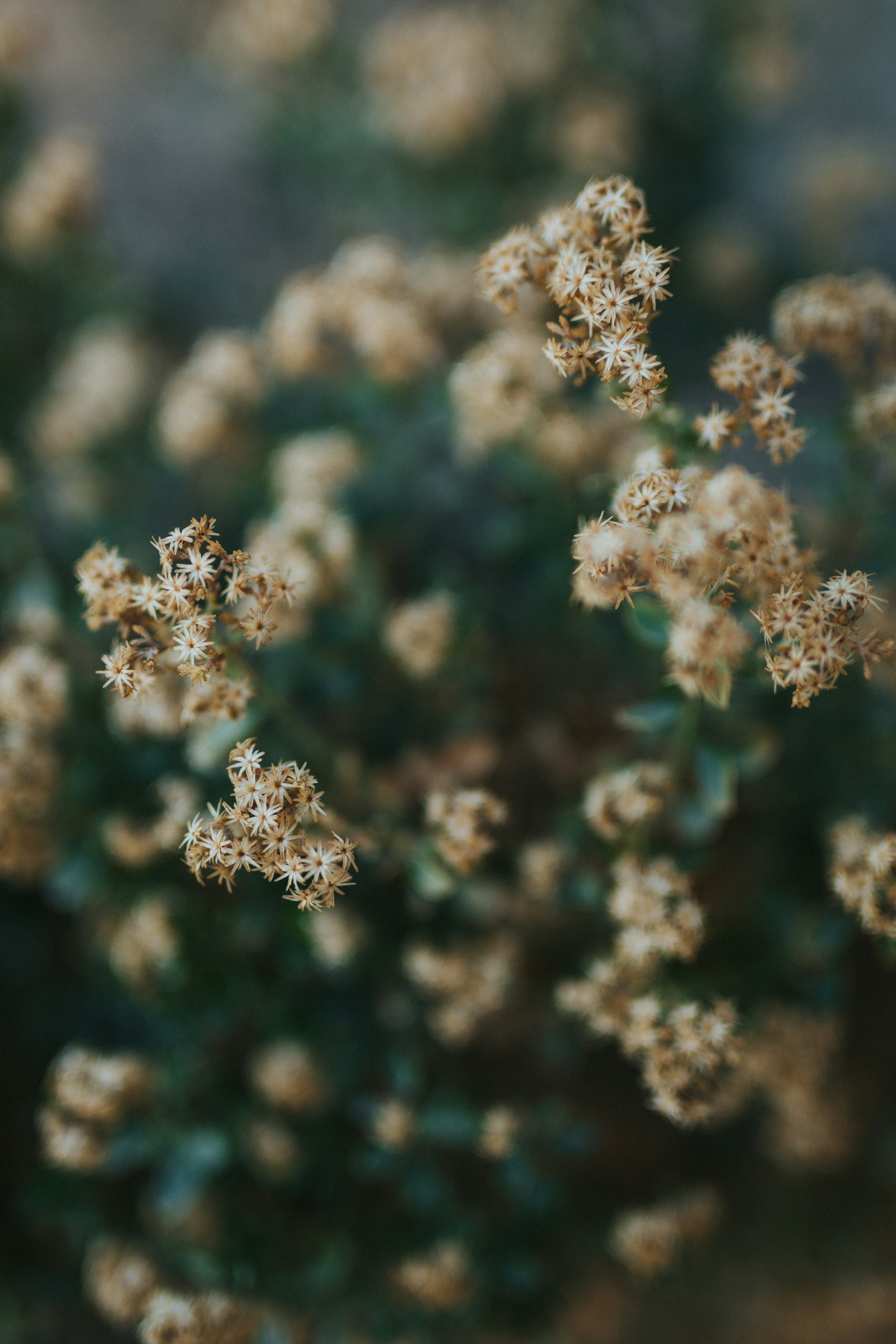 Photo by nate_dumlao