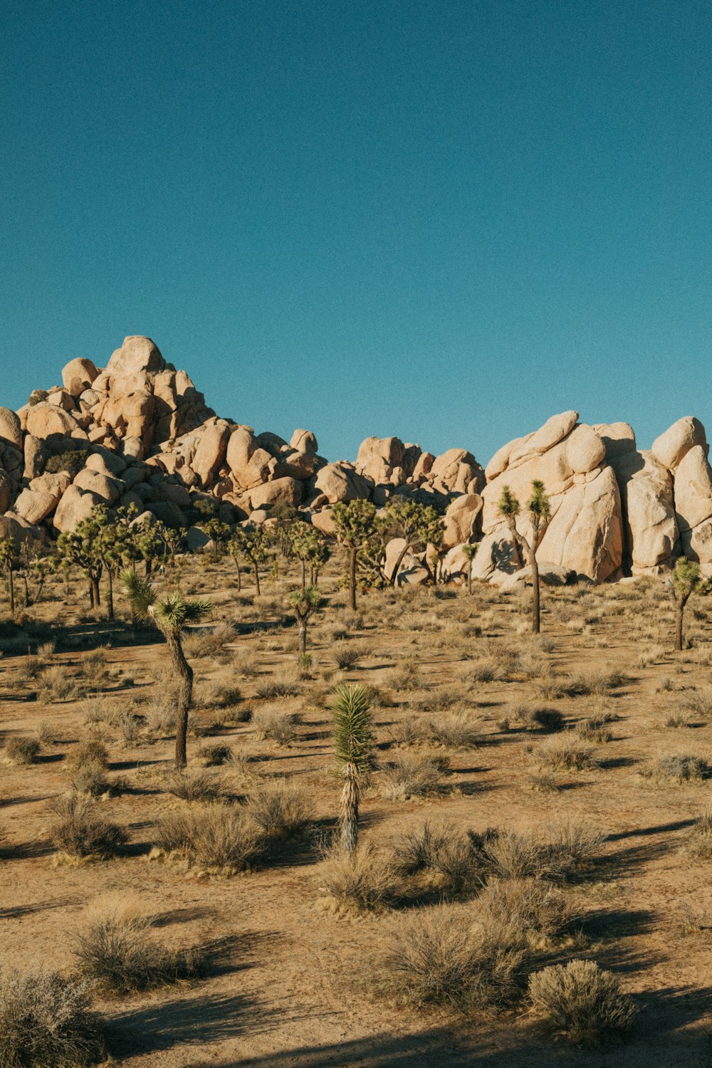 brown rock formation under blue sky during daytime