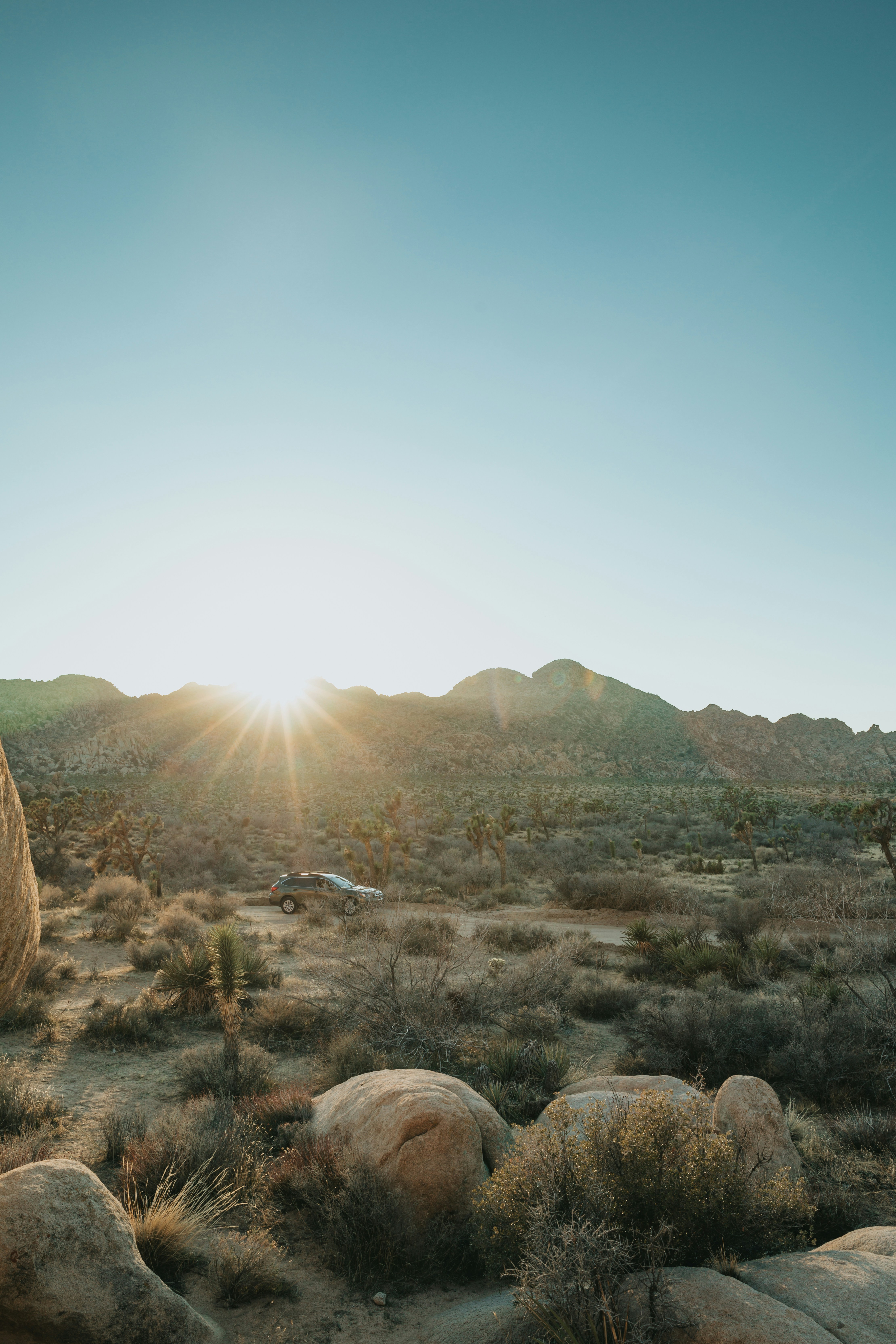 Photo by nate_dumlao