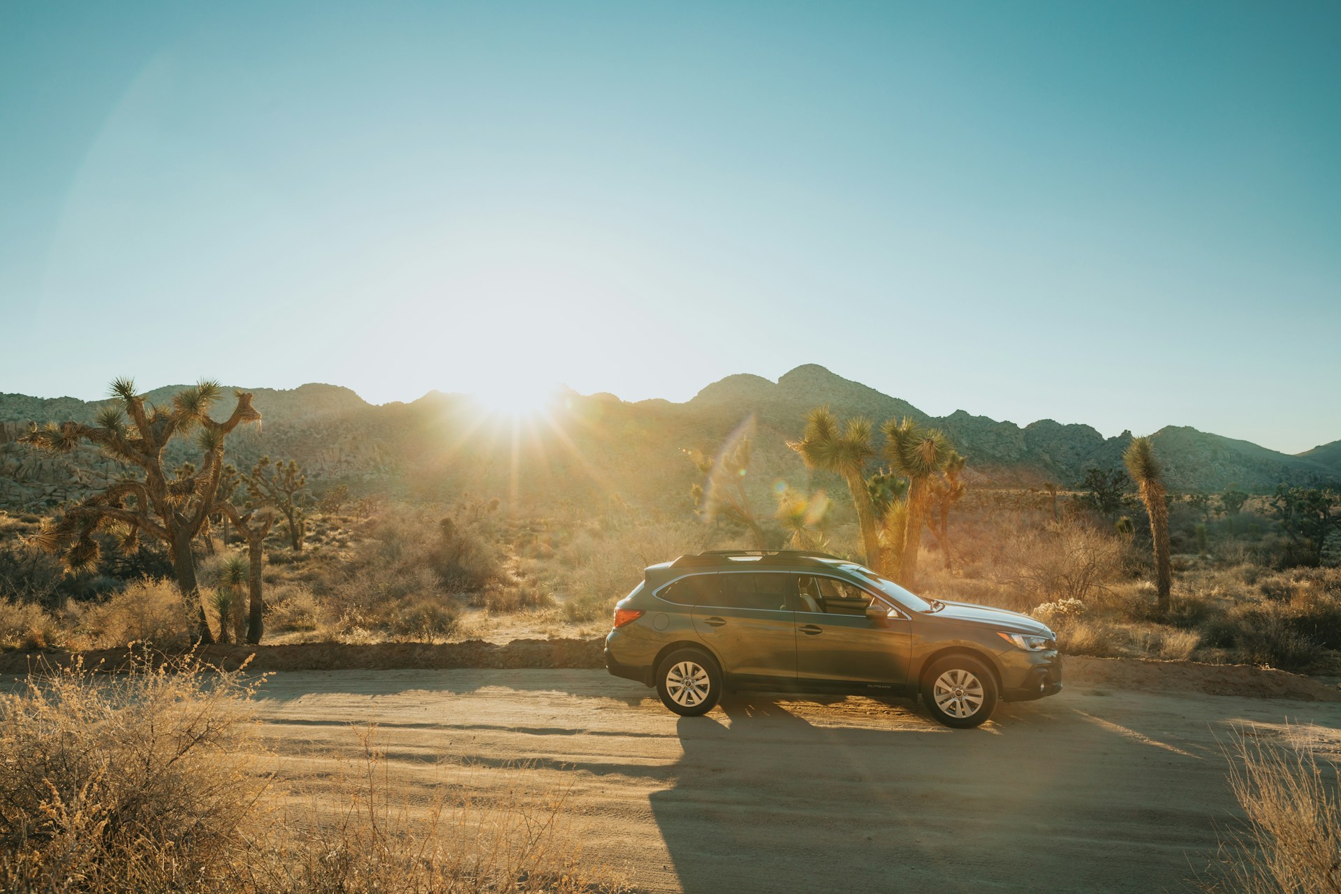 black and brown leather padded tub sofa