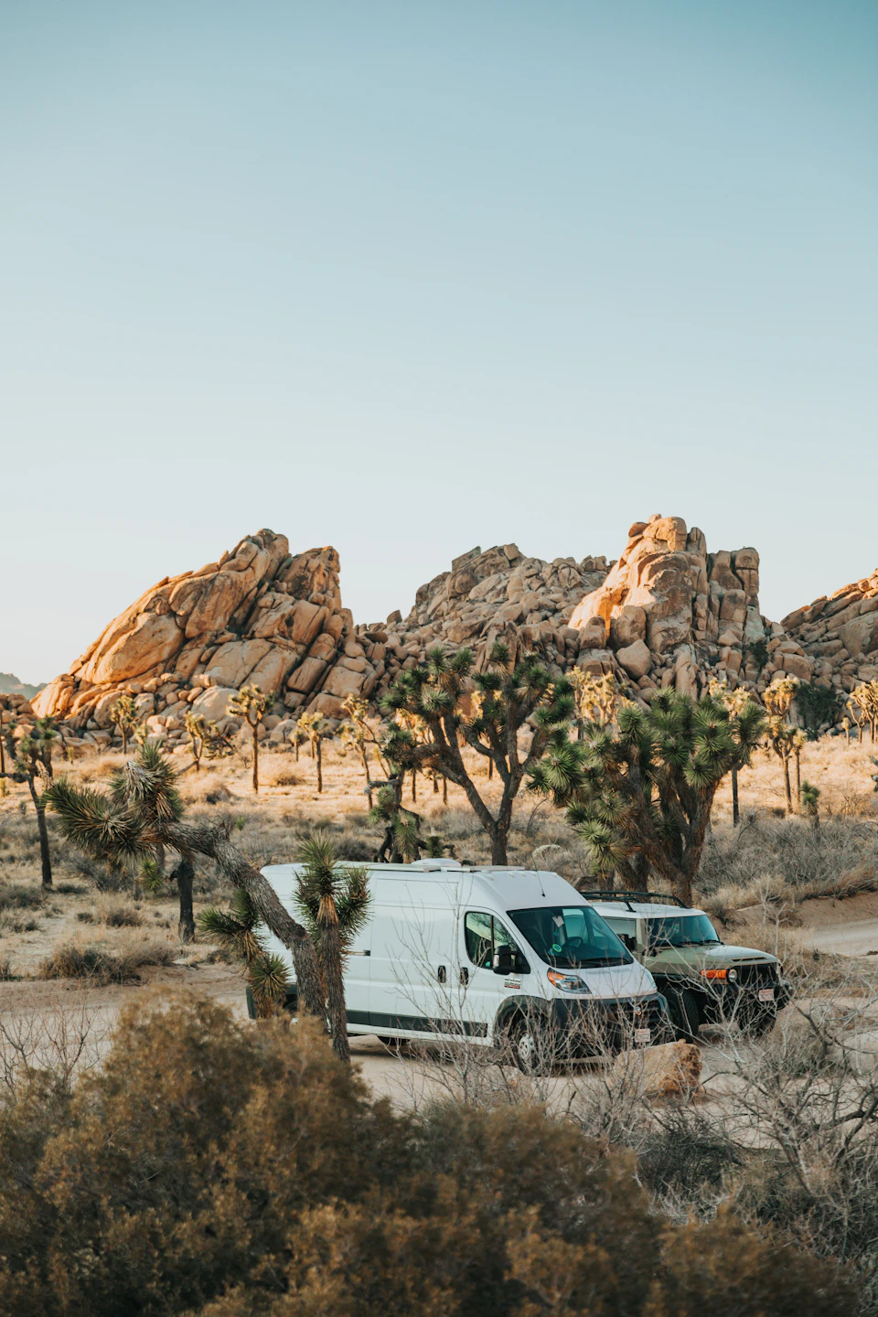 Two white vans parked on a dirt road in a desert landscape with surrounding trees