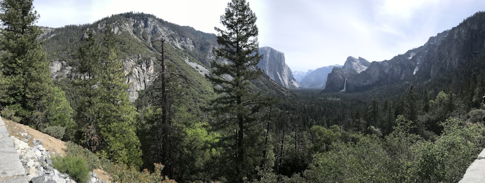 árboles verdes cerca de la montaña bajo el cielo azul durante el día