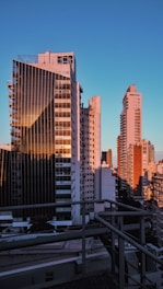 white and brown high rise building