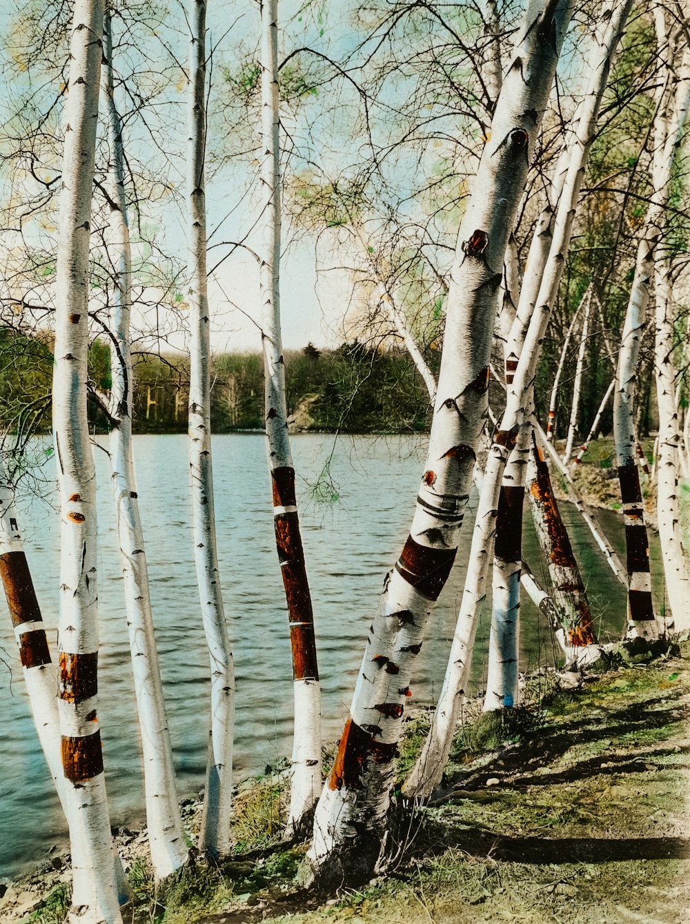 white and black fishing rod near body of water during daytime