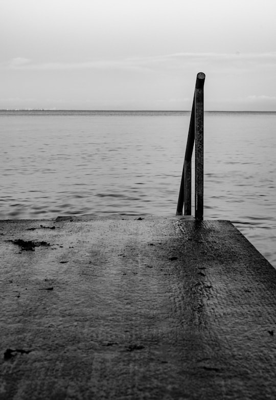 grayscale photo of wooden dock on sea in Taarbæk Denmark